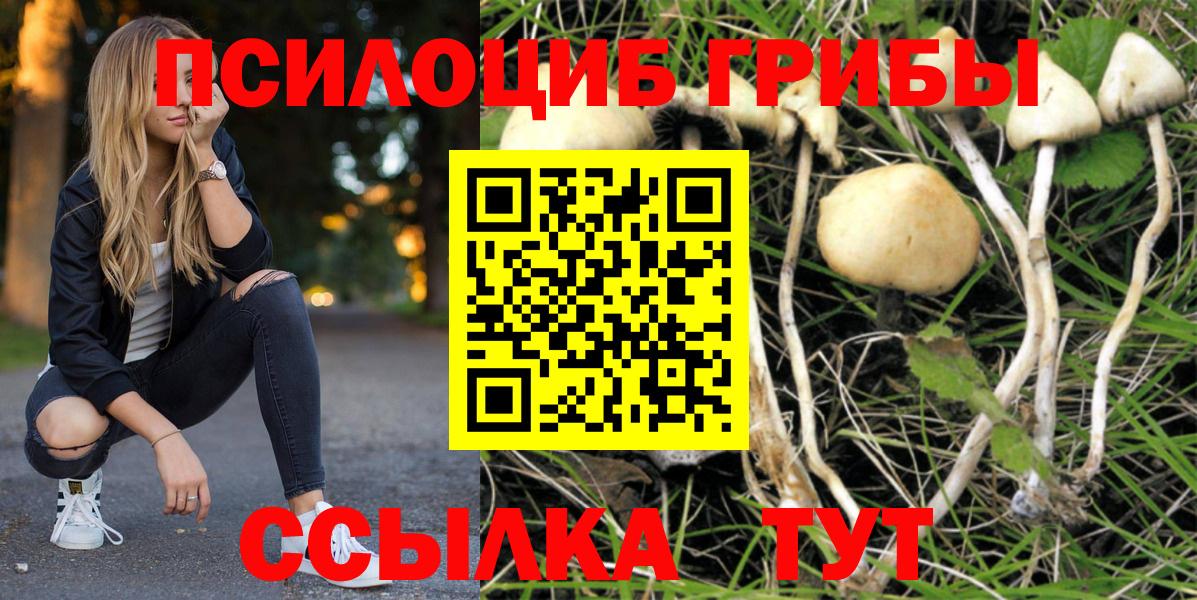 Вичуга  Галлюциногенные грибы MAGIC MUSHROOMS  Вход с VPN 